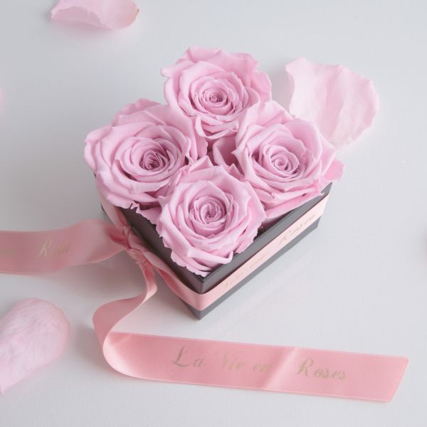 Preserved Roses