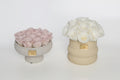 6B - Preserved Rose Small Beige Ribbed