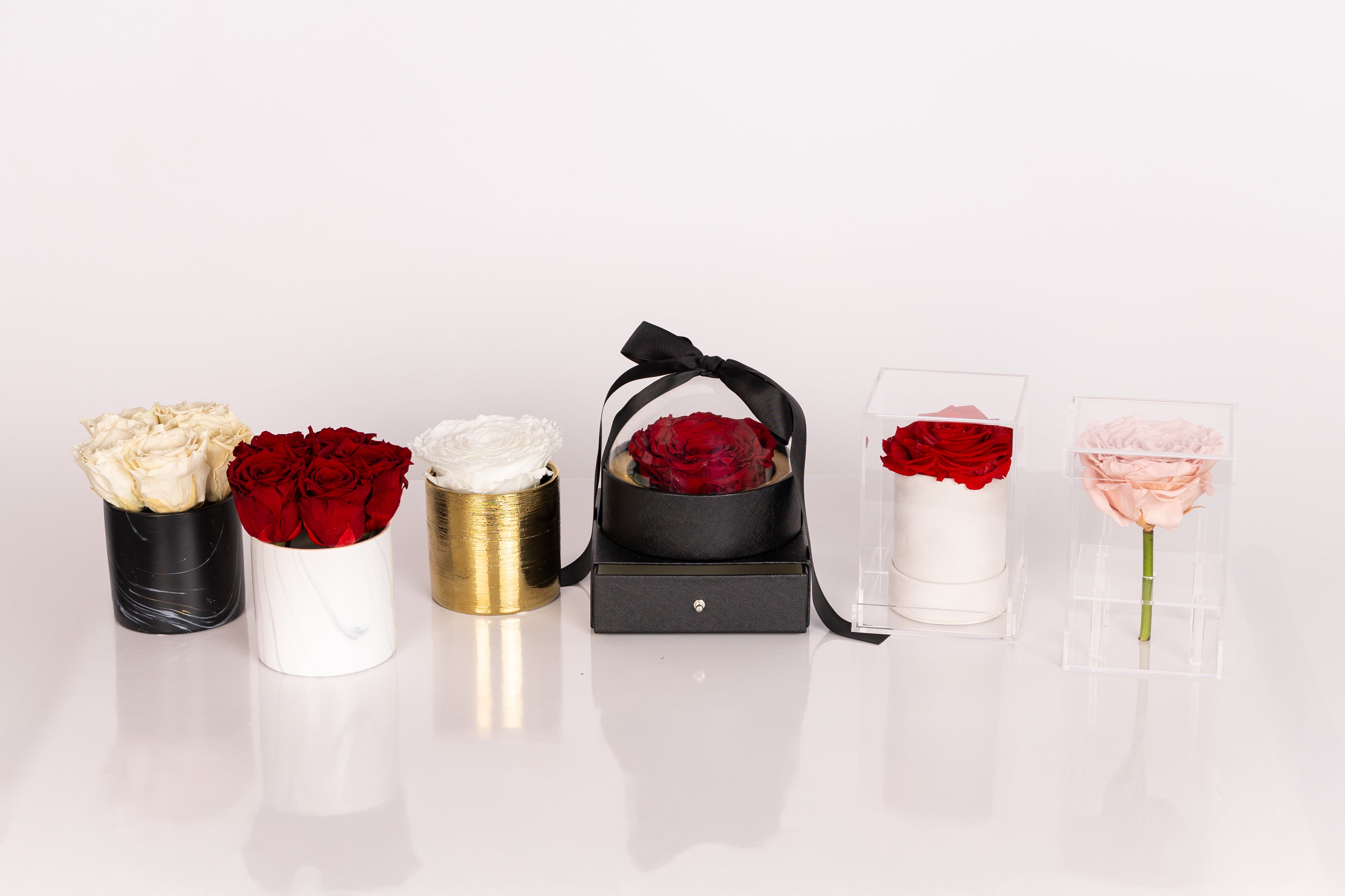 19 - Giant Preserved Rose in Ceramic Vase
