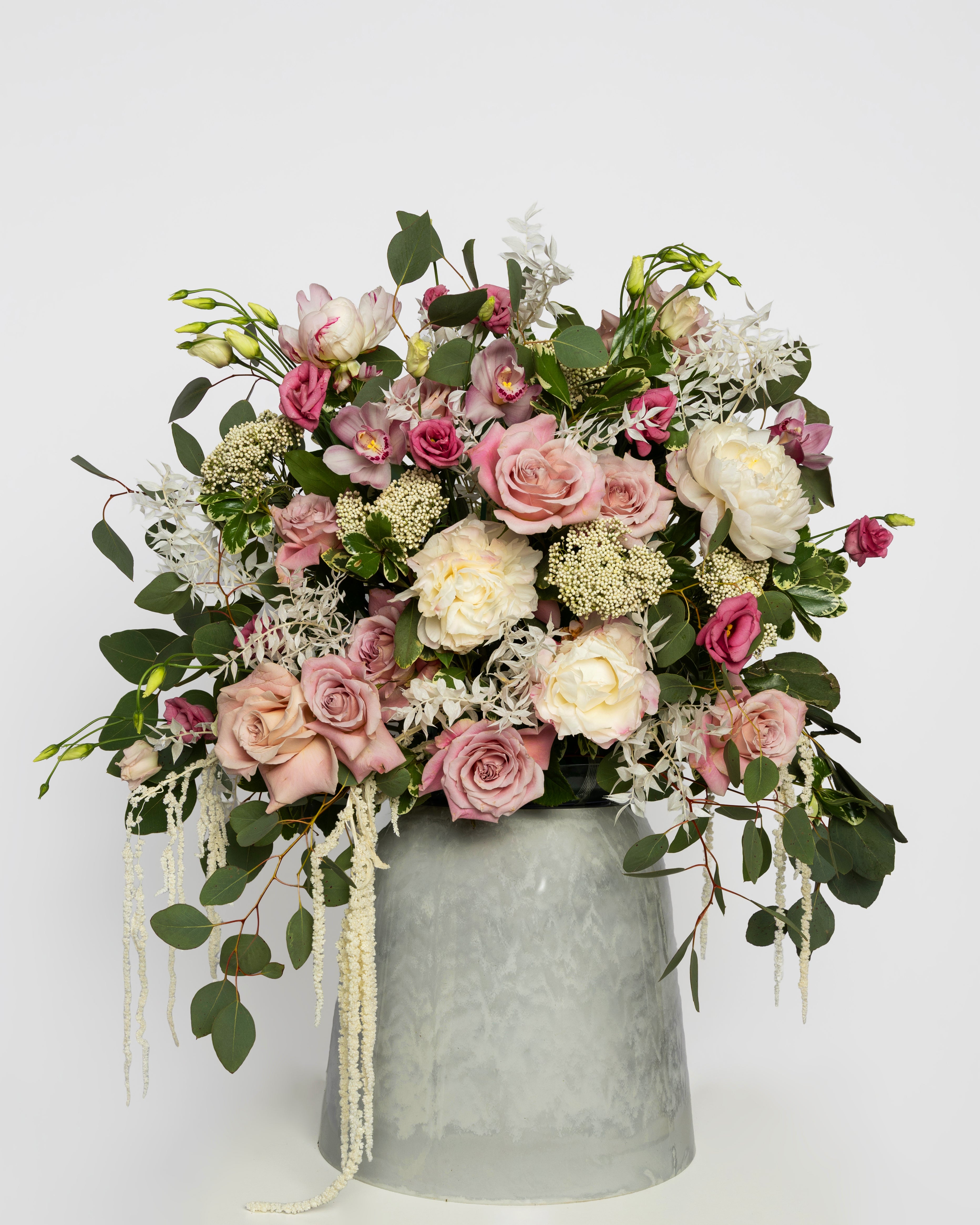 #1 Rose Reverie